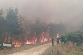 Bursa’da orman yangını 3 helikopter müdahale ediyor