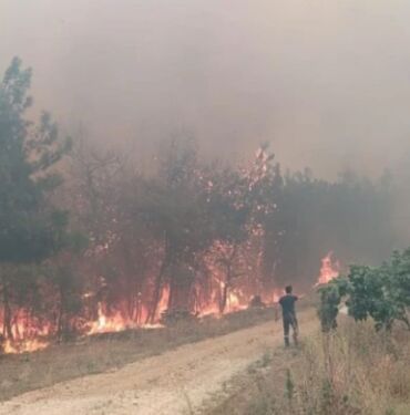 Bursa’da orman yangını 3 helikopter müdahale ediyor