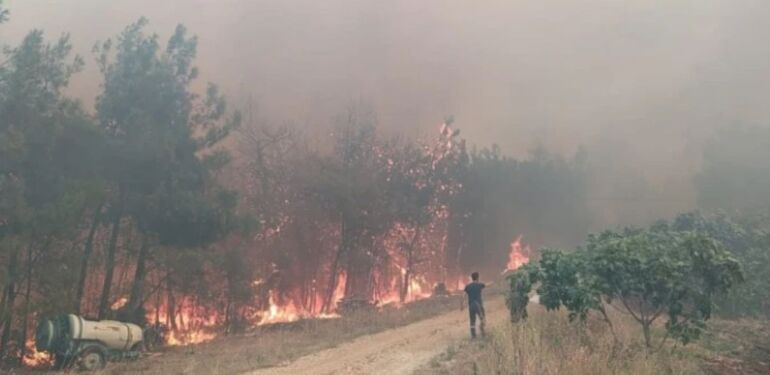 Bursa’da orman yangını 3 helikopter müdahale ediyor