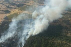 Çanakkale'deki yangında 5 hektar alan zarar gördü