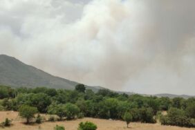 Denizli-Muğla sınırında orman yangını çıktı (2)