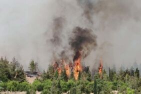 Denizli'deki orman yangınının nedeni ortaya çıktı 3 şüpheli gözaltında