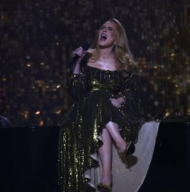 Dünyaca ünlü şarkıcı Adele konser esnasında seyircisini azarladı