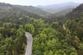 Edirne'de ormanlık alanlara girişler 15 Ekim'e kadar kısıtlandı