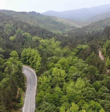 Edirne'de ormanlık alanlara girişler 15 Ekim'e kadar kısıtlandı