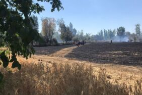 Eskişehir'de buğday tarlasında yangın