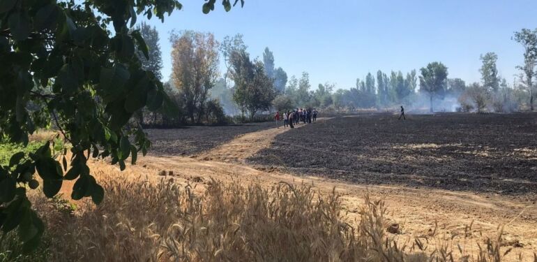 Eskişehir'de buğday tarlasında yangın