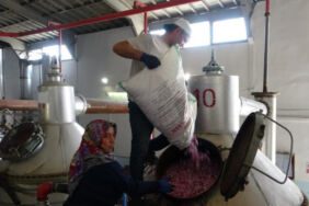 Fiyatları uçtu Bir litresi 400 bin TL'yi geçiyor!