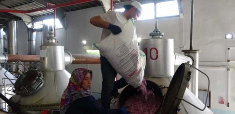 Fiyatları uçtu Bir litresi 400 bin TL'yi geçiyor!