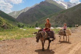 Han Yaylası, Şırnaklı göçerleri ağırlıyor