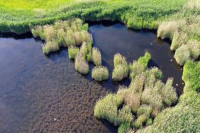 Iğdır'daki Üçkaya Gölü'nün turizme kazandırılması için çalışma başlatıldı