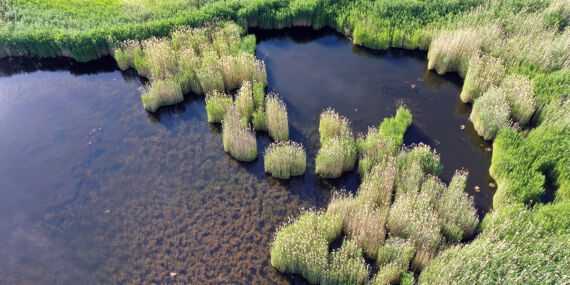 Iğdır’daki Üçkaya Gölü’nün turizme kazandırılması için çalışma başlatıldı