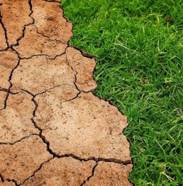 İklim krizi Küresel ısınma tüm zamanların en yüksek seviyesinde