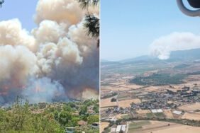 İzmir Menderes'de orman yangını Alevler yerleşim yerlerine yaklaşıyor!