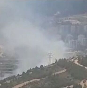 İzmir Narlıdere'de orman yangını