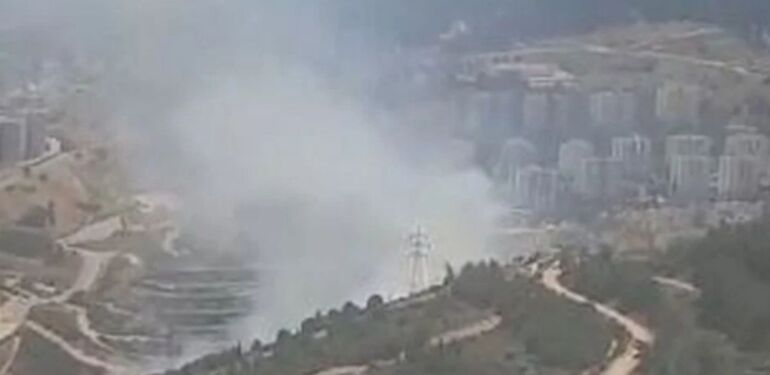 İzmir Narlıdere'de orman yangını