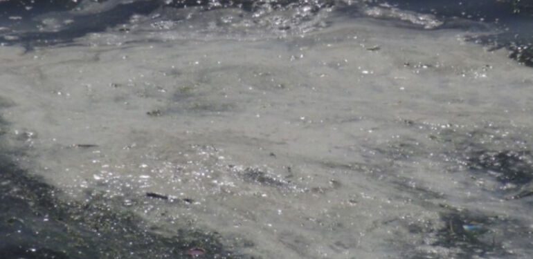 İzmit Körfezi'ndeki beyaz tabakanın nedeni belli oldu