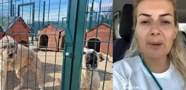 'Köpekvelisi' hesabının sahibi Buket Özgünlü'ye tahliye