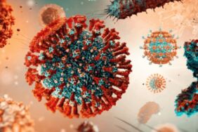 Kuduz riskinde ilk 24 saat hayati önem taşıyor