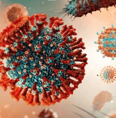 Kuduz riskinde ilk 24 saat hayati önem taşıyor