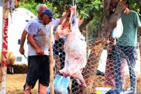 Kurban kesenler dikkat! 'Strese bağlı bozulma olabilir'