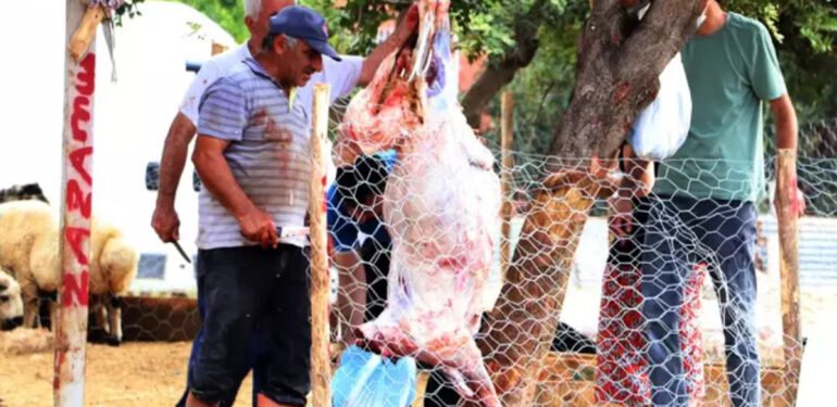 Kurban kesenler dikkat! 'Strese bağlı bozulma olabilir'