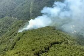 Manavgat'ta orman yangını