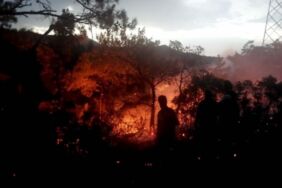 Marmaris’te korkutan orman yangını
