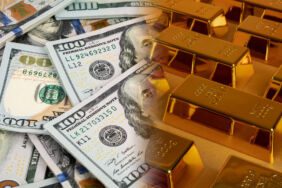 Merkez Bankası'nın rezervlerinde tarihi rekor