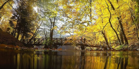 Milli parklar ve tabiat parkları Kurban Bayramı için hazır