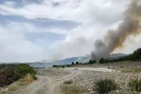 Muğla'da orman yangını! Havadan ve karadan müdahale sürüyor