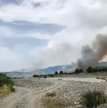 Muğla'da orman yangını! Havadan ve karadan müdahale sürüyor