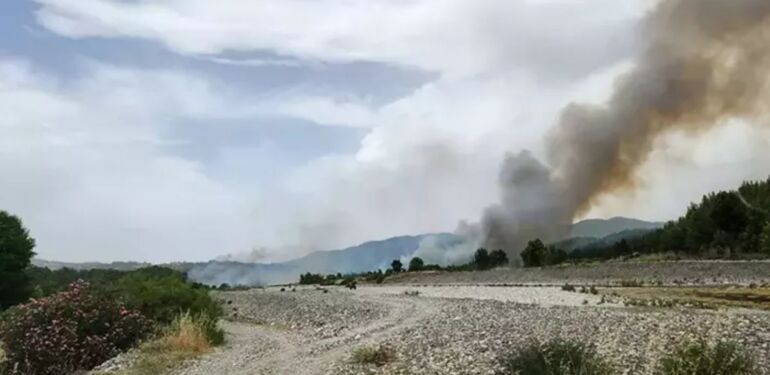 Muğla'da orman yangını! Havadan ve karadan müdahale sürüyor