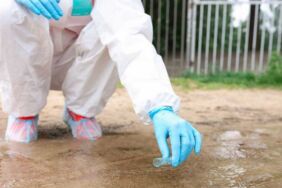 Nijerya'da kolera salgını 30 can aldı