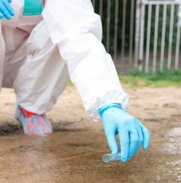 Nijerya'da kolera salgını 30 can aldı