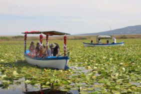 Nilüferlerle kaplı Işıklı Gölü sezonun ilk ziyaretçilerini ağırlıyor