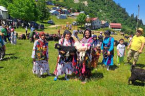 Rengarenk süslenen hayvanlar şenlik havasında yaylaya çıkıyor