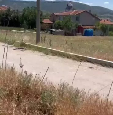 Silahlı saldırgan o bitki sayesinde yakalandı