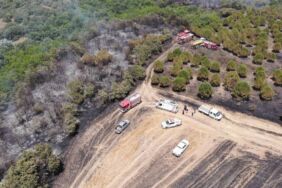 Silivri'de çıkan yangın tarım arazisi ve ormanlık alana zarar verdi