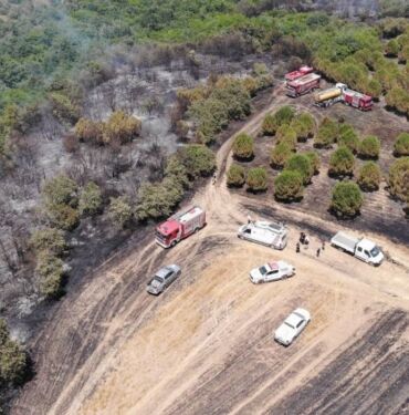 Silivri'de çıkan yangın tarım arazisi ve ormanlık alana zarar verdi