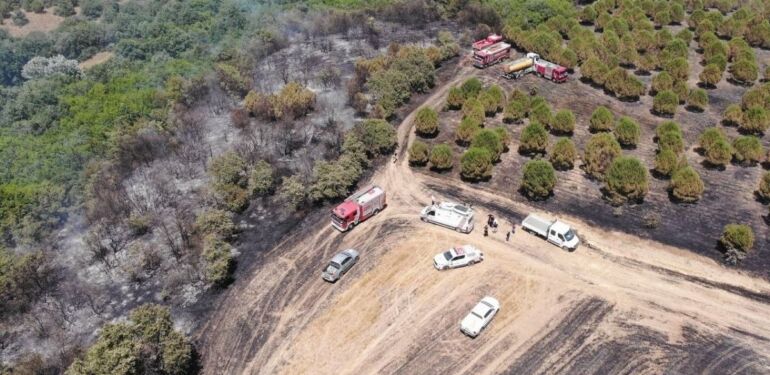 Silivri’de çıkan yangın tarım arazisi ve ormanlık alana zarar verdi