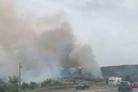 Son dakika... Aydın'da yangına müdahale eden uçak suya battı