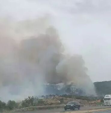 Son dakika... Aydın'da yangına müdahale eden uçak suya battı