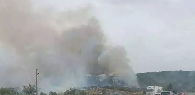 Son dakika... Aydın'da yangına müdahale eden uçak suya battı