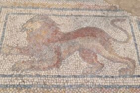 Temel kazısında bulunan Roma dönemi mozaikleri ortaya çıktı