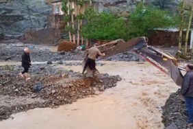 Van'da sel felaketi! 52 hayvan öldü, 10 ev ile ahır hasar gördü