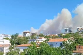 çanakkale ezine orman yangını