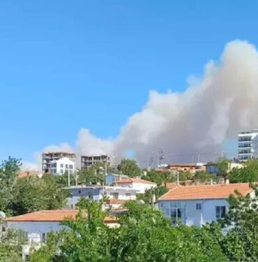 çanakkale ezine orman yangını