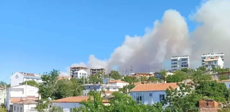 Çanakkale’de bir orman yangını daha