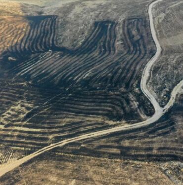 diyarbakırmardin anız yangınıKAPAK